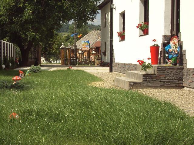 Pensiunea Vasilica Ceterasu Oncesti Exterior photo